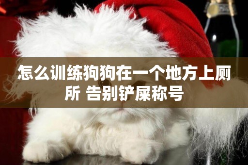 怎么訓練狗狗在一個地方上廁所 告別鏟屎稱號