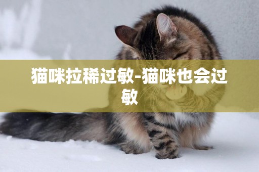 貓咪拉稀過敏-貓咪也會過敏