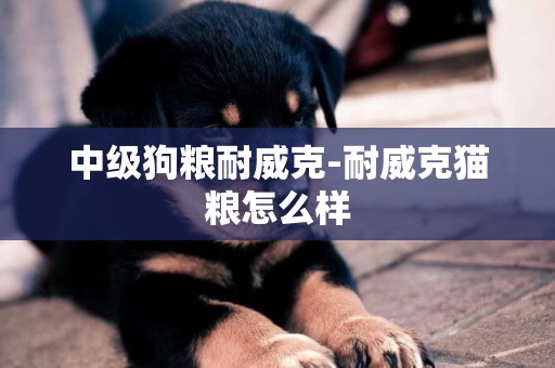中級狗糧耐威克-耐威克貓糧怎么樣