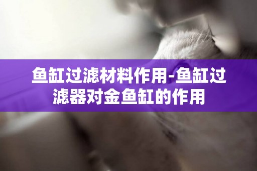 魚缸過濾材料作用-魚缸過濾器對金魚缸的作用