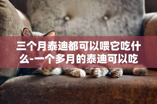 三個月泰迪都可以喂它吃什么-一個多月的泰迪可以吃什么