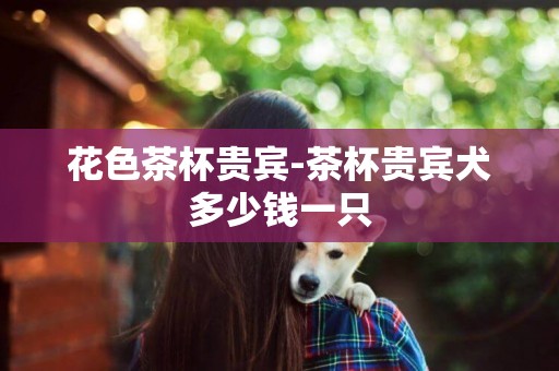 花色茶杯貴賓-茶杯貴賓犬多少錢一只