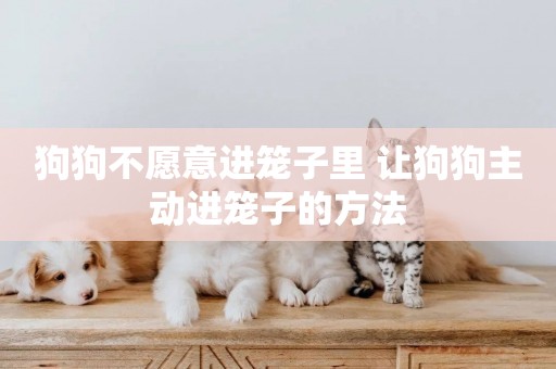 狗狗不愿意進籠子里 讓狗狗主動進籠子的方法