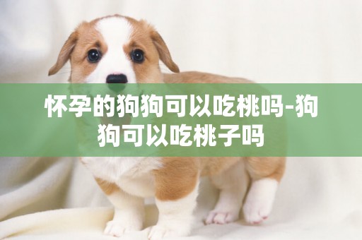 懷孕的狗狗可以吃桃嗎-狗狗可以吃桃子嗎