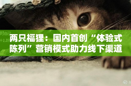 兩只福貍：國內首創“體驗式陳列”營銷模式助力線下渠道