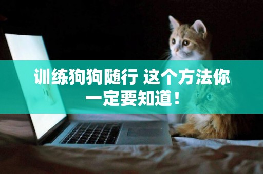 訓練狗狗隨行 這個方法你一定要知道！