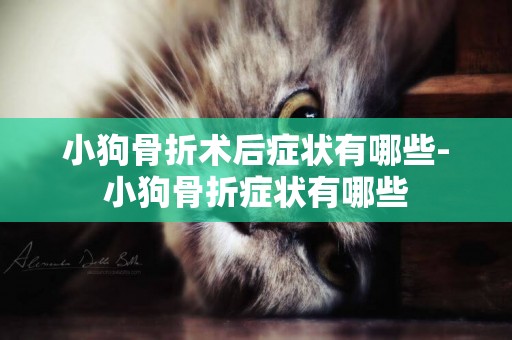 小狗骨折術后癥狀有哪些-小狗骨折癥狀有哪些