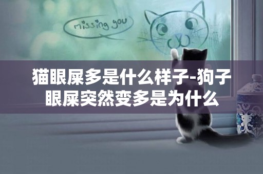 貓眼屎多是什么樣子-狗子眼屎突然變多是為什么