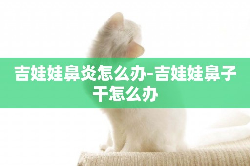 吉娃娃鼻炎怎么辦-吉娃娃鼻子干怎么辦