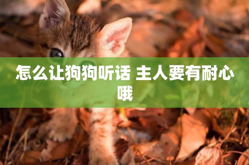 怎么讓狗狗聽話 主人要有耐心哦
