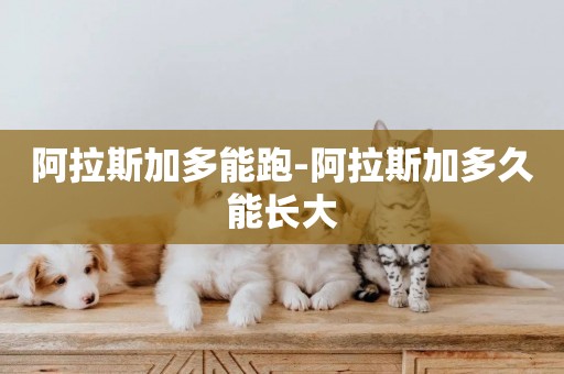 阿拉斯加多能跑-阿拉斯加多久能長大