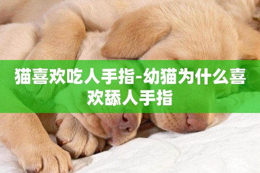 貓喜歡吃人手指-幼貓為什么喜歡舔人手指
