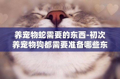 養寵物蛇需要的東西-初次養寵物狗都需要準備哪些東西