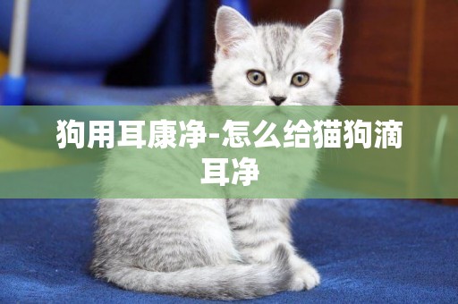 狗用耳康凈-怎么給貓狗滴耳凈