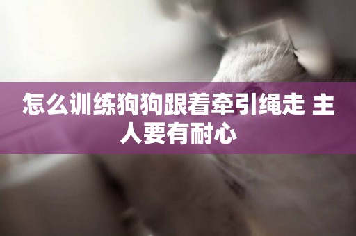 怎么訓練狗狗跟著牽引繩走 主人要有耐心