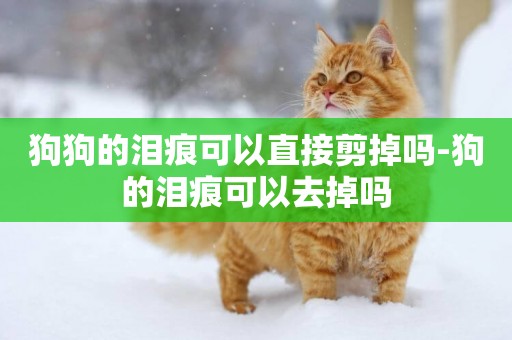 狗狗的淚痕可以直接剪掉嗎-狗的淚痕可以去掉嗎