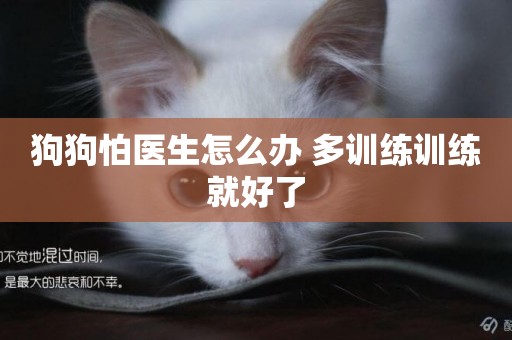 狗狗怕醫生怎么辦 多訓練訓練就好了