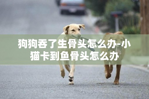狗狗吞了生骨頭怎么辦-小貓卡到魚骨頭怎么辦