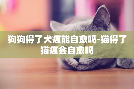 狗狗得了犬瘟能自愈嗎-貓得了貓瘟會自愈嗎