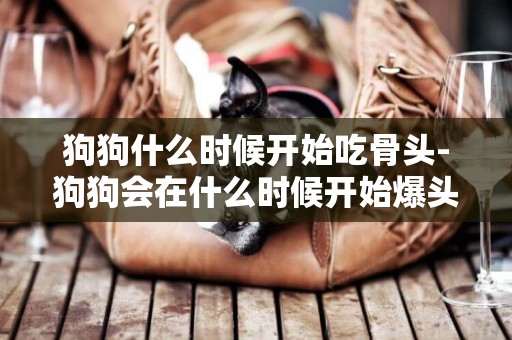 狗狗什么時候開始吃骨頭-狗狗會在什么時候開始爆頭呢