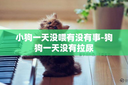 小狗一天沒喂有沒有事-狗狗一天沒有拉尿