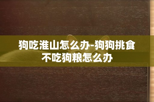 狗吃淮山怎么辦-狗狗挑食不吃狗糧怎么辦