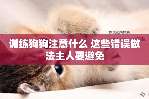 訓練狗狗注意什么 這些錯誤做法主人要避免