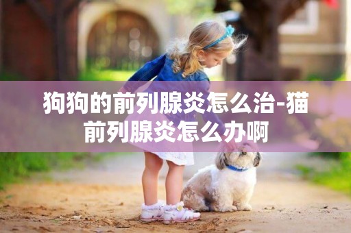 狗狗的前列腺炎怎么治-貓前列腺炎怎么辦啊