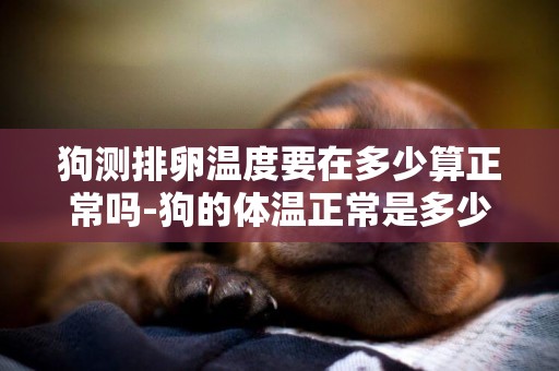 狗測排卵溫度要在多少算正常嗎-狗的體溫正常是多少度