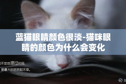 藍貓眼睛顏色很淡-貓咪眼睛的顏色為什么會變化