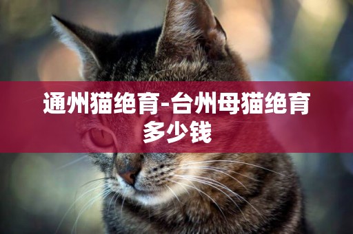 通州貓絕育-臺州母貓絕育多少錢