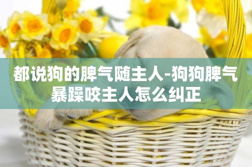 都說狗的脾氣隨主人-狗狗脾氣暴躁咬主人怎么糾正
