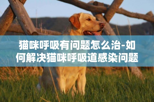 貓咪呼吸有問題怎么治-如何解決貓咪呼吸道感染問題
