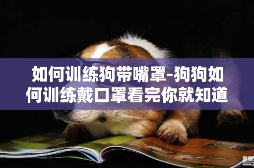 如何訓練狗帶嘴罩-狗狗如何訓練戴口罩看完你就知道了