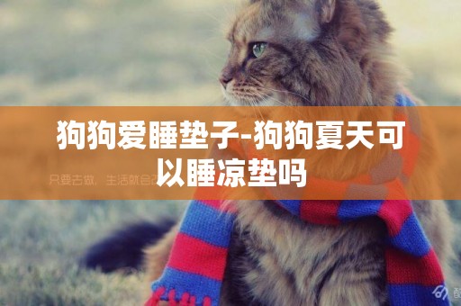 狗狗愛睡墊子-狗狗夏天可以睡涼墊嗎