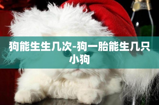 狗能生生幾次-狗一胎能生幾只小狗