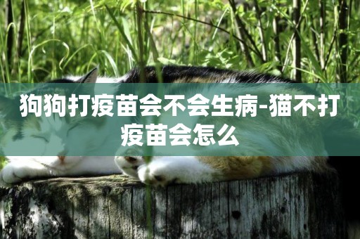 狗狗打疫苗會不會生病-貓不打疫苗會怎么