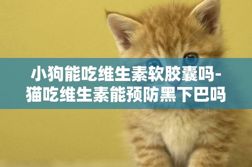 小狗能吃維生素軟膠囊嗎-貓吃維生素能預防黑下巴嗎