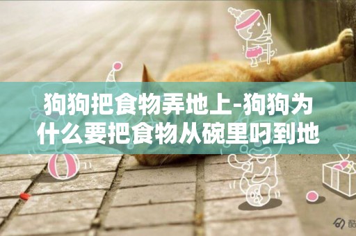 狗狗把食物弄地上-狗狗為什么要把食物從碗里叼到地上