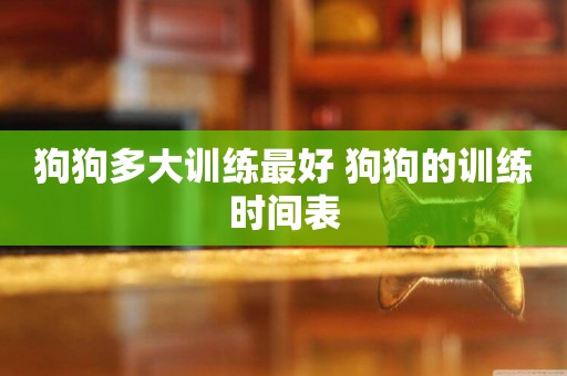 狗狗多大訓練最好 狗狗的訓練時間表 狗狗多大訓練最好 狗狗的訓練時間表