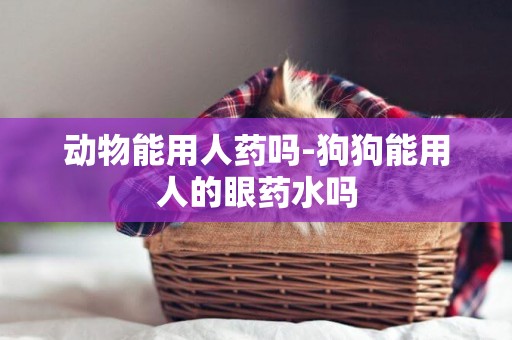 動物能用人藥嗎-狗狗能用人的眼藥水嗎
