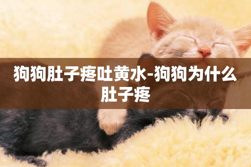 狗狗肚子疼吐黃水-狗狗為什么肚子疼