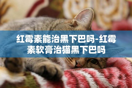 紅霉素能治黑下巴嗎-紅霉素軟膏治貓黑下巴嗎