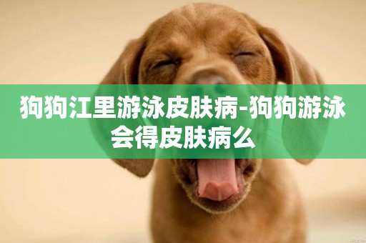 狗狗江里游泳皮膚病-狗狗游泳會得皮膚病么