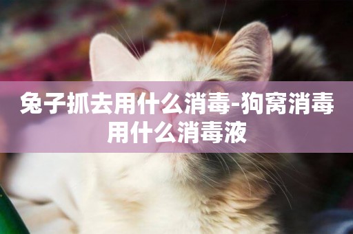 兔子抓去用什么消毒-狗窩消毒用什么消毒液