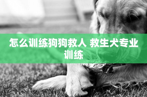 怎么訓練狗狗救人 救生犬專業訓練