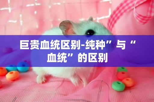 巨貴血統區別-純種”與“血統”的區別