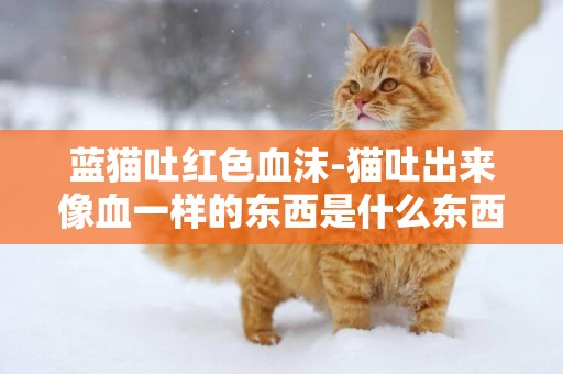 藍貓吐紅色血沫-貓吐出來像血一樣的東西是什么東西怎么辦