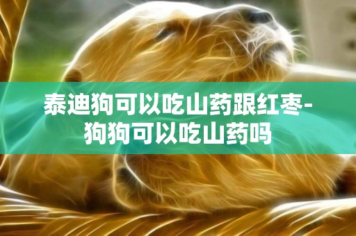 泰迪狗可以吃山藥跟紅棗-狗狗可以吃山藥嗎