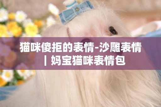 貓咪傻拒的表情-沙雕表情｜媽寶貓咪表情包